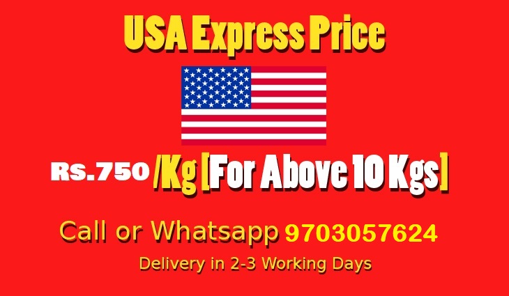 Uppal to USA Courier Charges